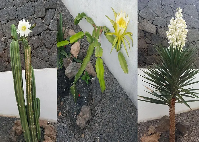 Direktly At Our Swimming Pool - Relax - Aduls Only 公寓 蒂亚斯