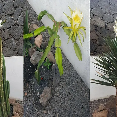 Direktly At Our Swimming Pool - Relax - Aduls Only Apartment Tias